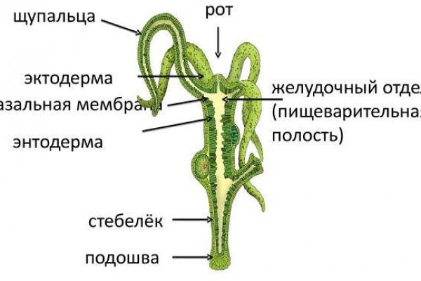 Правильная ссылка на омг